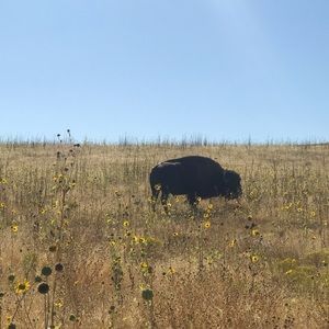 Meet your Posher, Austin